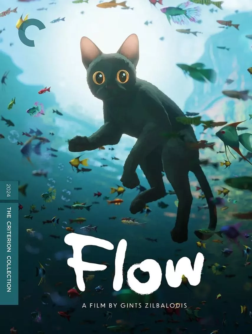 猫猫的奇幻漂流