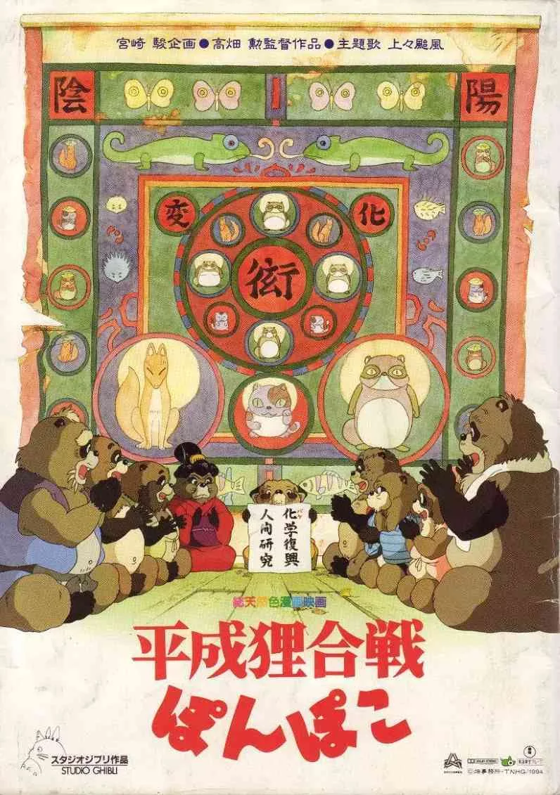 百变狸猫