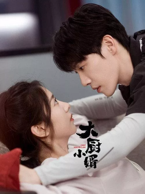 大厨小婿 全24集