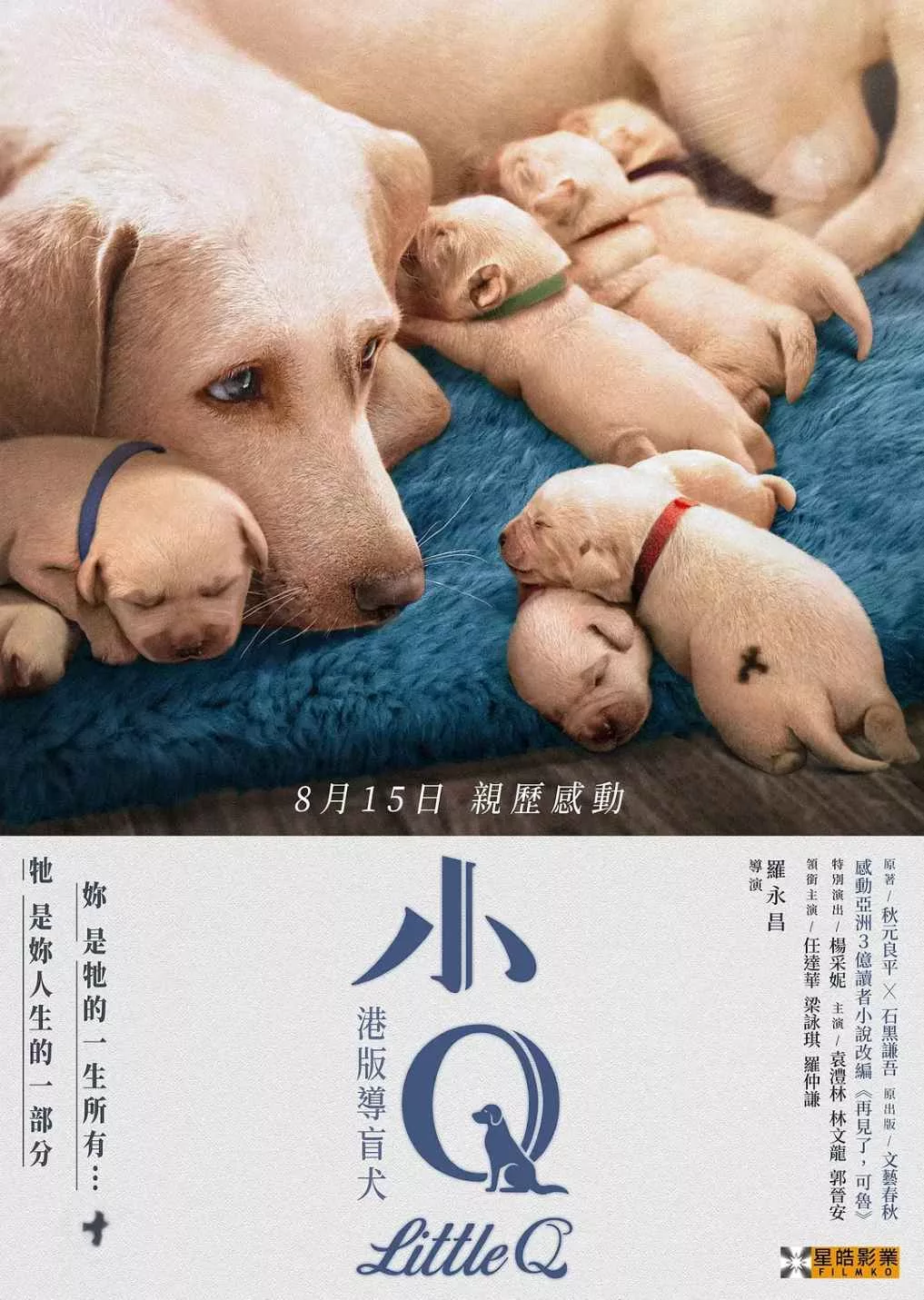 小Q