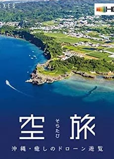 空中旅行・冲绳