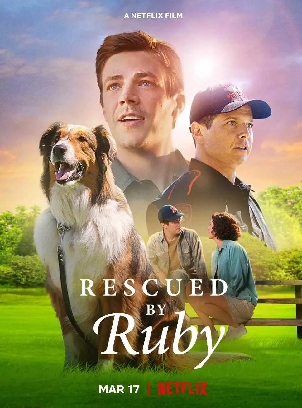 义犬救主