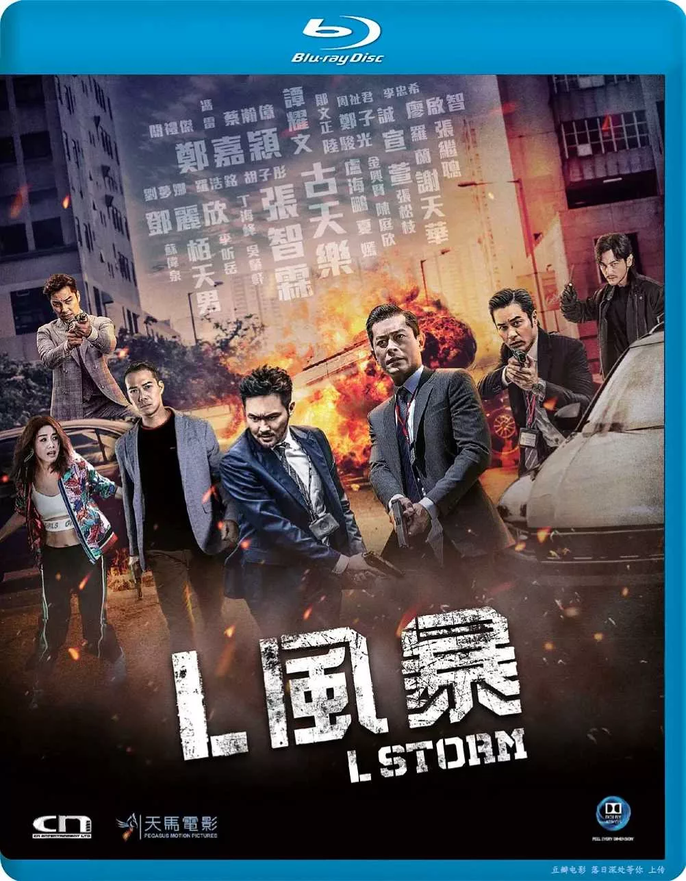 反贪风暴3